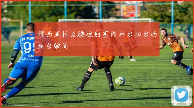 穆西亚拉后腰远射塞内加尔切尔西绝杀瞬间