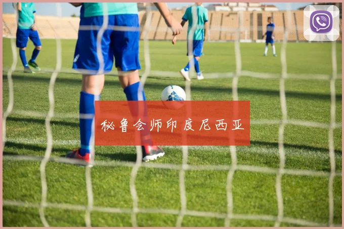 秘鲁会师印度尼西亚