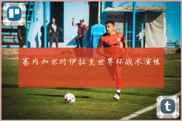 塞内加尔对伊拉克世界杯战术演练