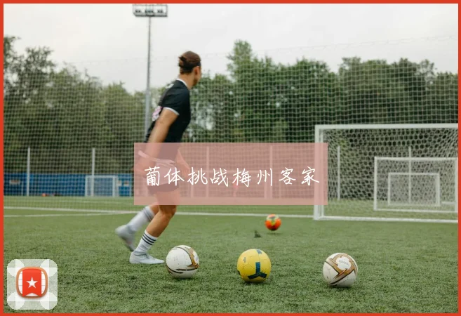 葡体挑战梅州客家