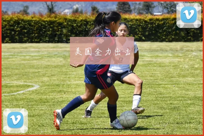 美国全力出击