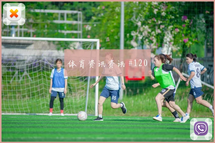 德米洛维奇世界杯小组赛禁区终结能力