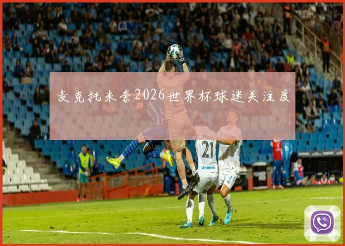 麦克托米奈2026世界杯球迷关注度
