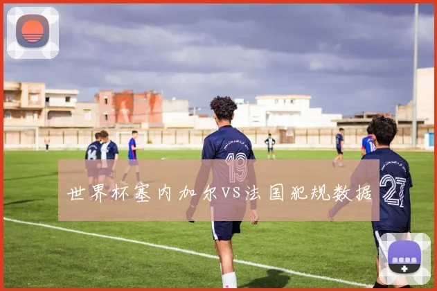 世界杯塞内加尔vs法国犯规数据