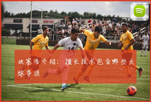 坎塞洛介绍：擅长技术包含哪些头球争顶