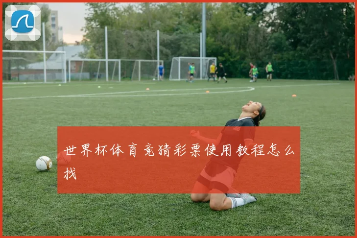 世界杯体育竞猜彩票使用教程怎么找